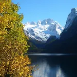 בית הארחה Gosauschmied 3*