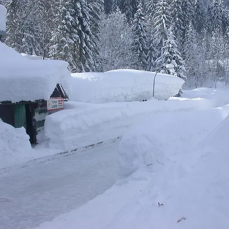 Gasthof Gosauschmied 2*