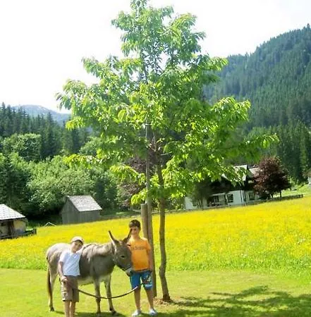 Gosauschmied Gasthuis 3*