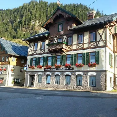 Gasthuis Gosauschmied 3*