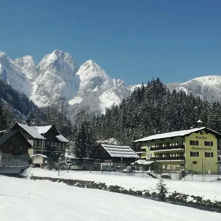 Gosauschmied Πανσιόν 3*