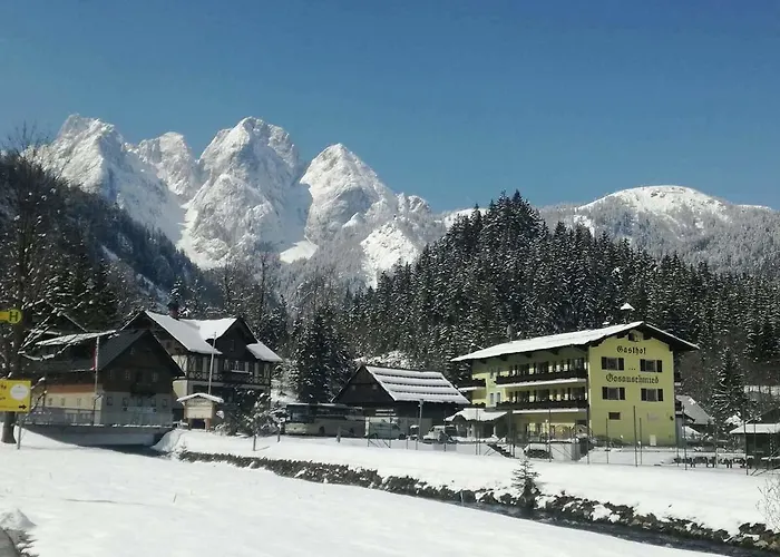 Gosauschmied Vendégház 3*