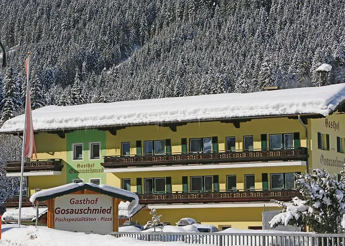 Gosauschmied Πανσιόν 3*