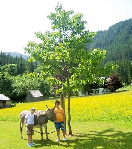 Gosauschmied Gæstehus 3*